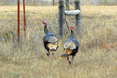 A view of storm clouds rolling across the horizon, as seen from headquarters.